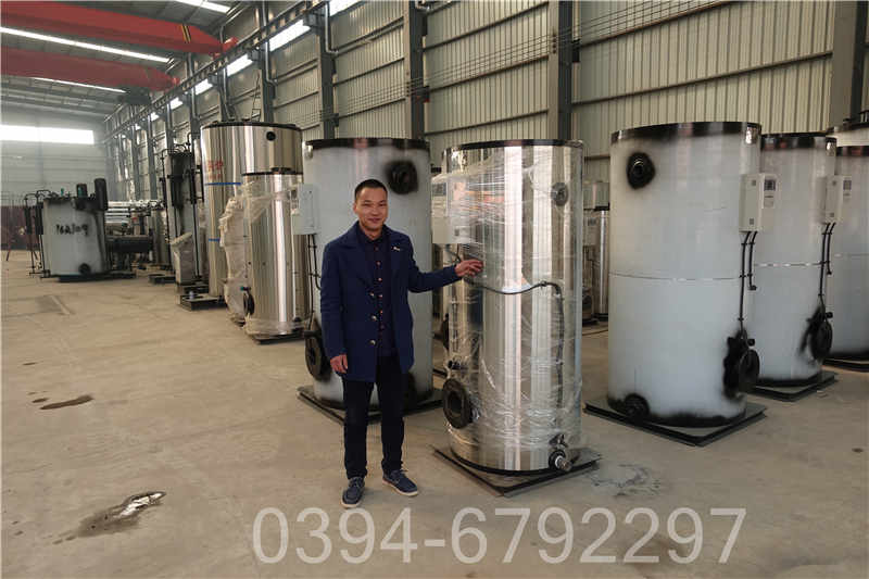 2吨大棚热水锅炉(图3)