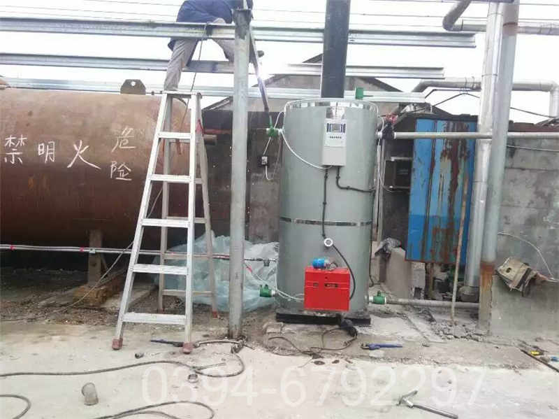 十吨立式燃气热水锅炉(图2)