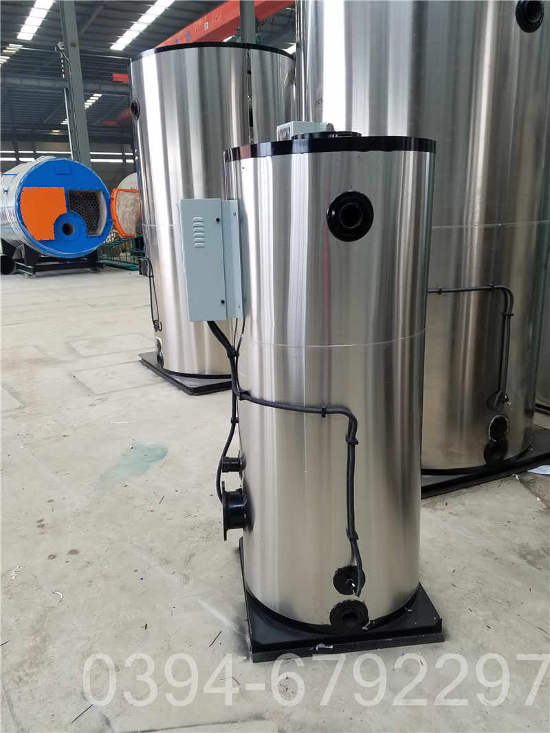 生物蒸汽锅炉(图2)