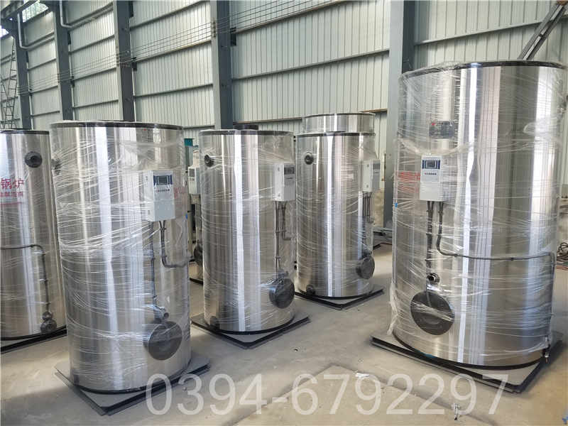 二吨低氮冷凝蒸汽锅炉(图2)