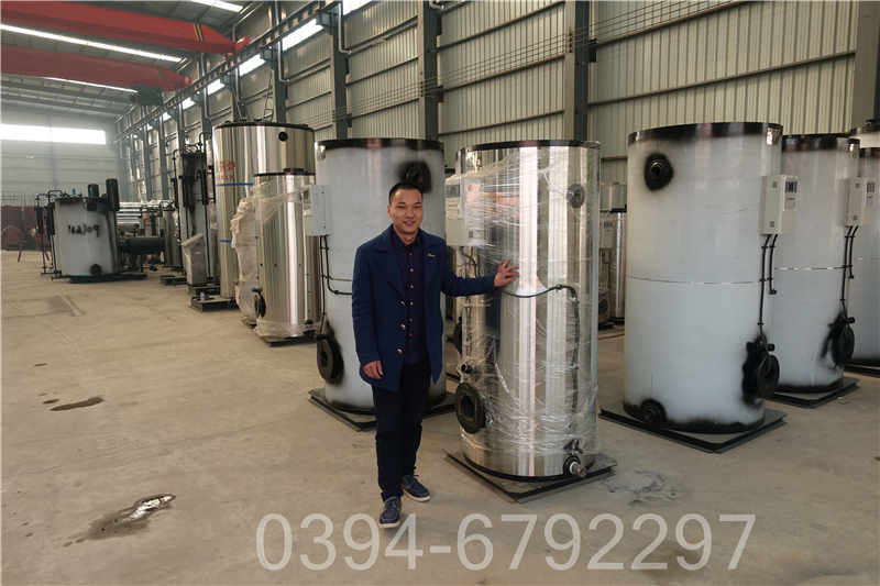 4吨冷凝蒸汽锅炉(图2)