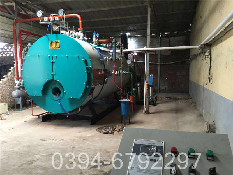 燃煤蒸气锅炉(图3)