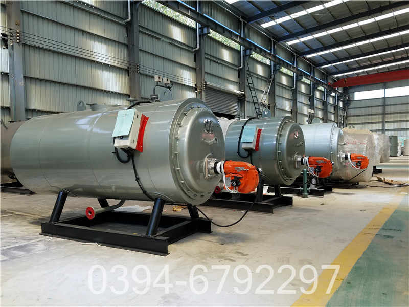 蒸汽卧式锅炉(图3)