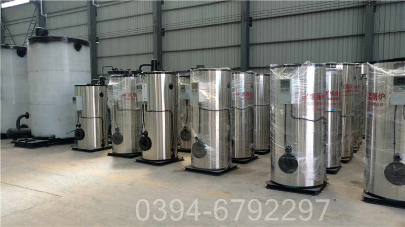 燃天然气蒸汽锅炉(图3)