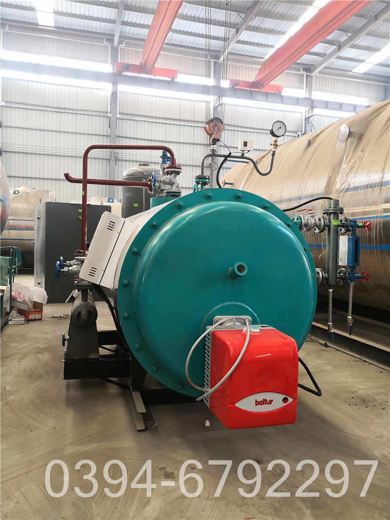 浴池专用燃气锅炉(图3)