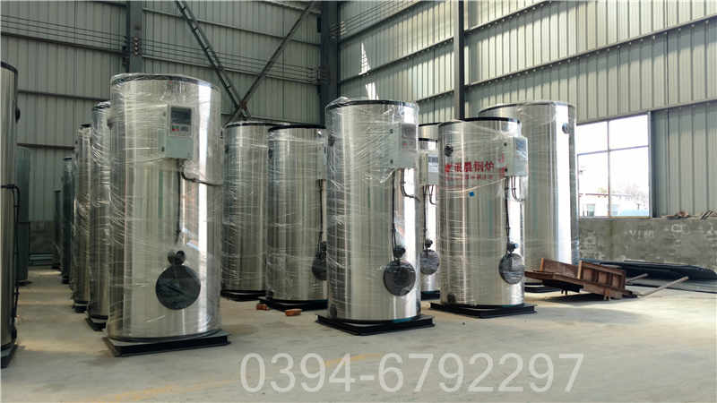 6吨柴油蒸汽锅炉(图3)