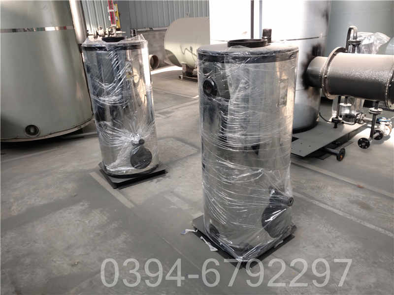 八吨环保锅炉(图3)