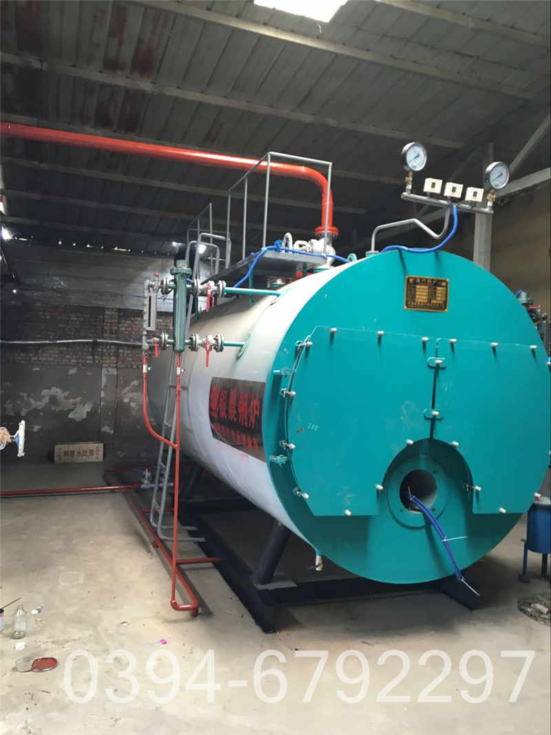 小型蒸汽燃气锅炉(图2)