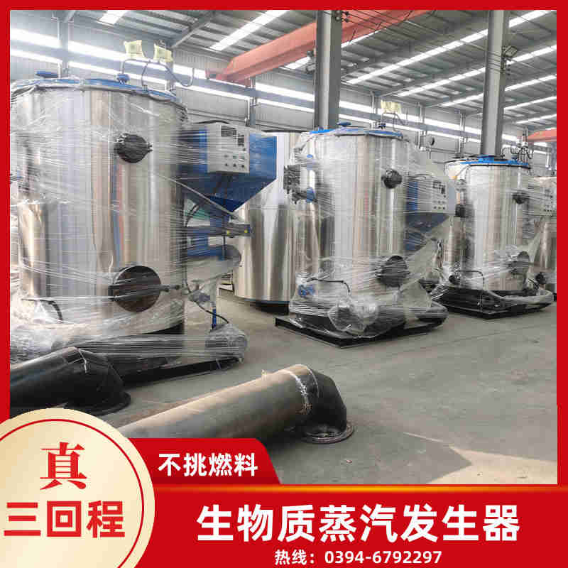 煤气燃气锅炉(图3)