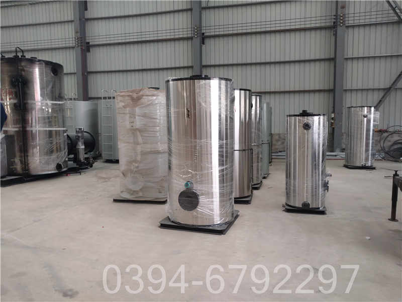湖南12吨燃油热水锅炉(图1)