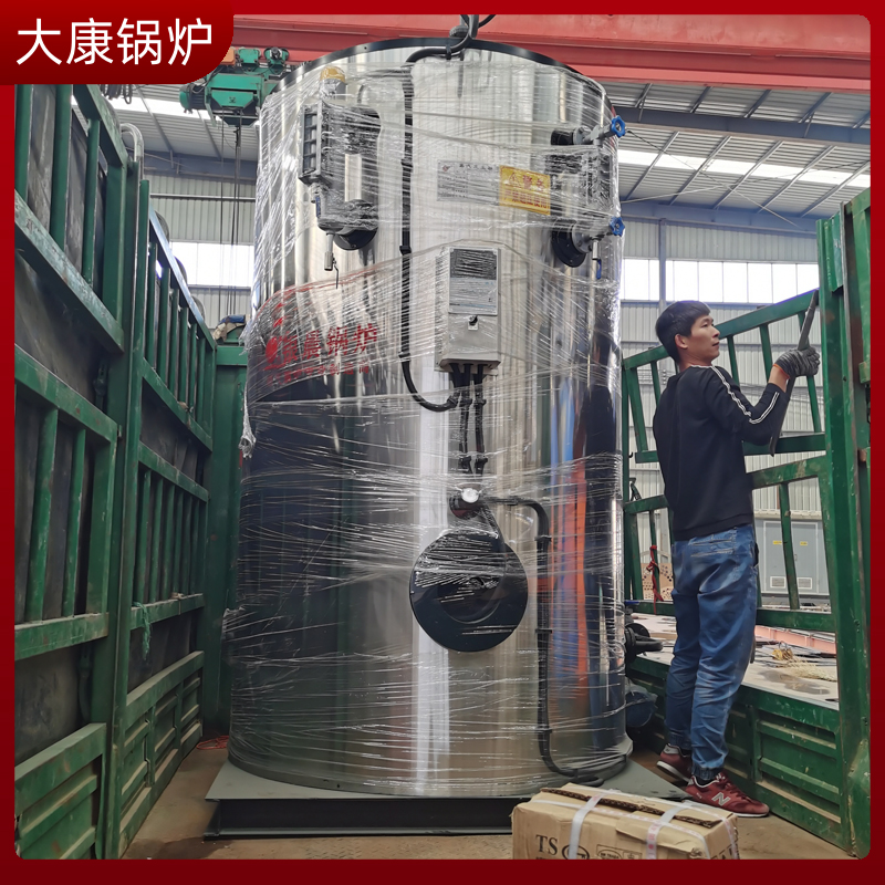 燃生物质锅炉厂家
