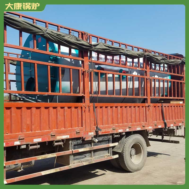12吨燃气导热油锅炉