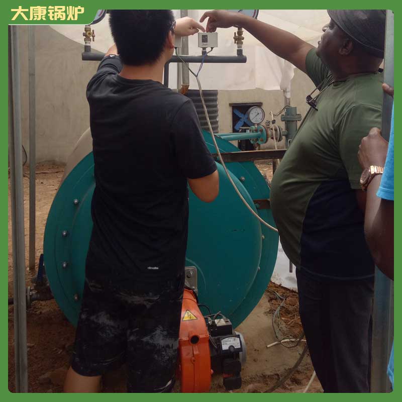 生物质生物质锅炉价格